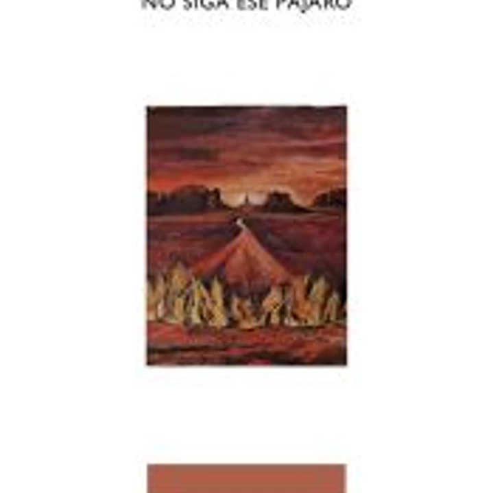 No siga ese pájaro 1