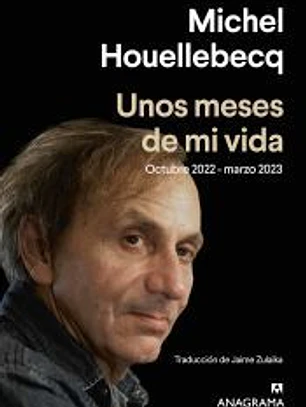 Unos meses de mi vida