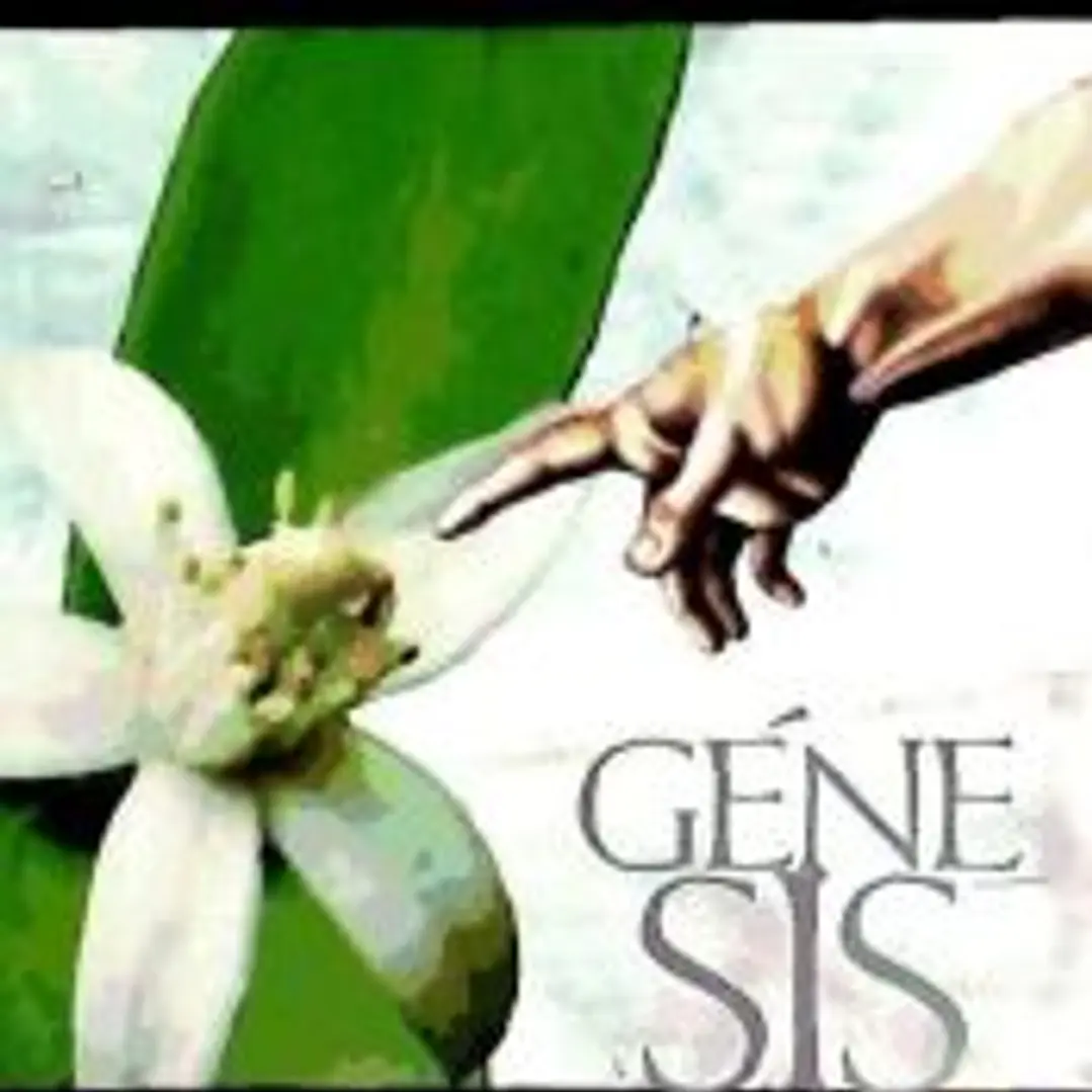 GÉNESIS 1