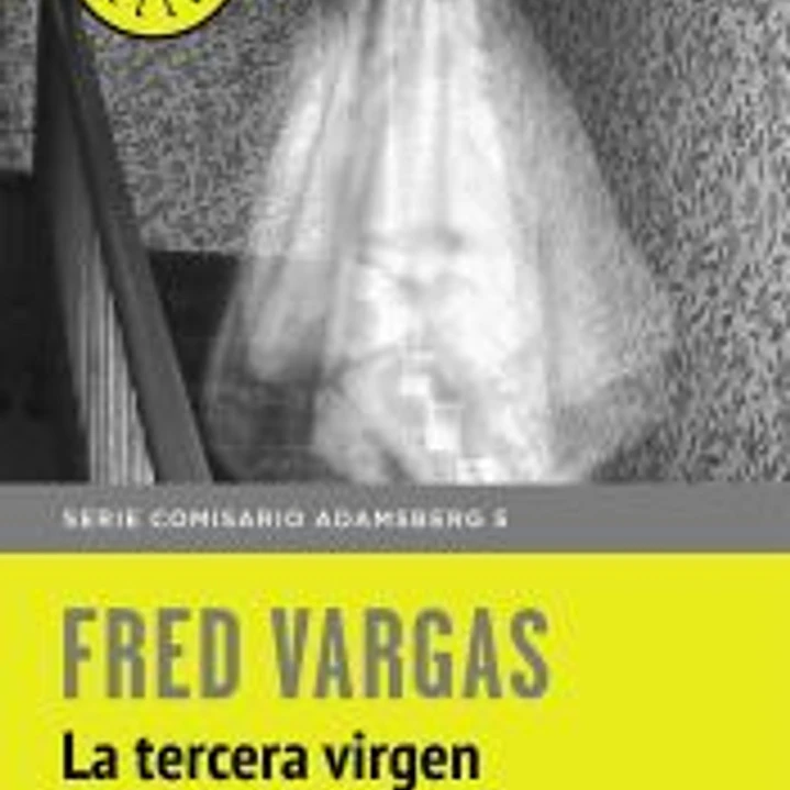 Comisario Adamsberg 6. La tercera virgen 1