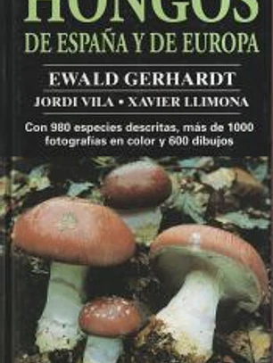HONGOS DE ESPAÑA Y DE EUROPA