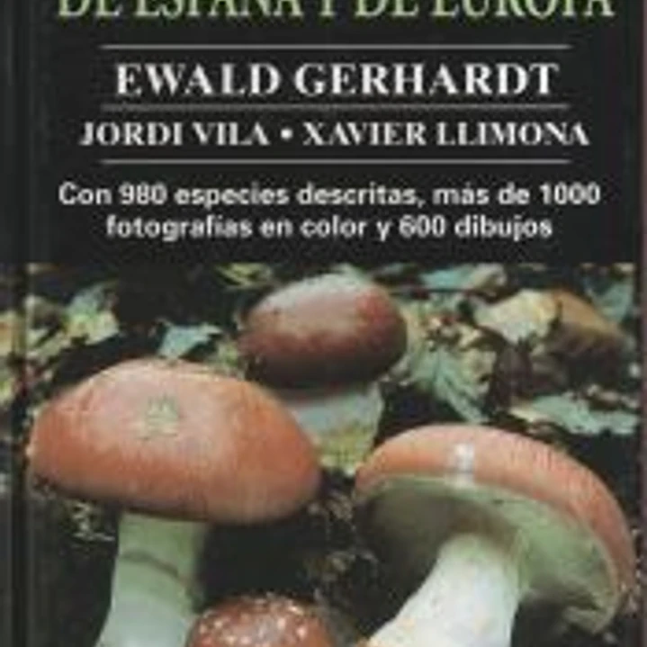 HONGOS DE ESPAÑA Y DE EUROPA 1