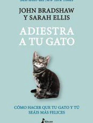 Adiestra a tu gato