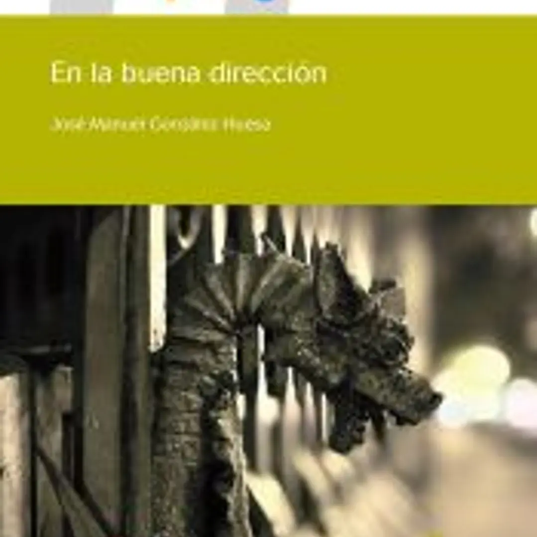En la buena dirección 1