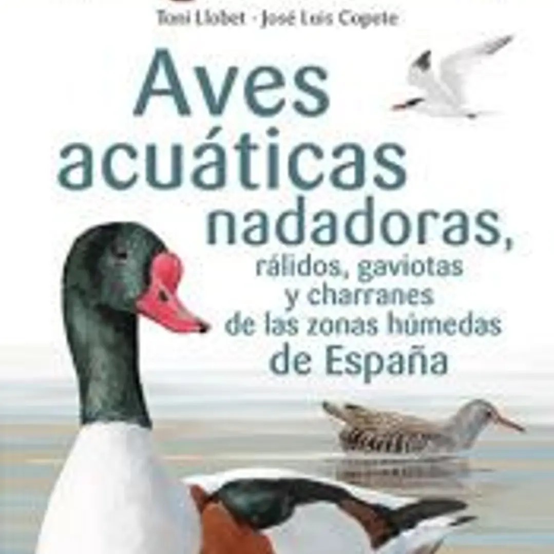 Aves acuáticas nadadoras, rálidos, gaviotas y charranes de las zonas húmedas de España 1