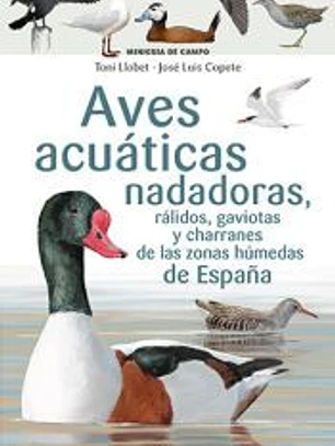 Aves acuáticas nadadoras, rálidos, gaviotas y charranes de las zonas húmedas de España