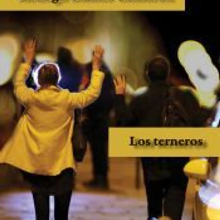 Los terneros 1
