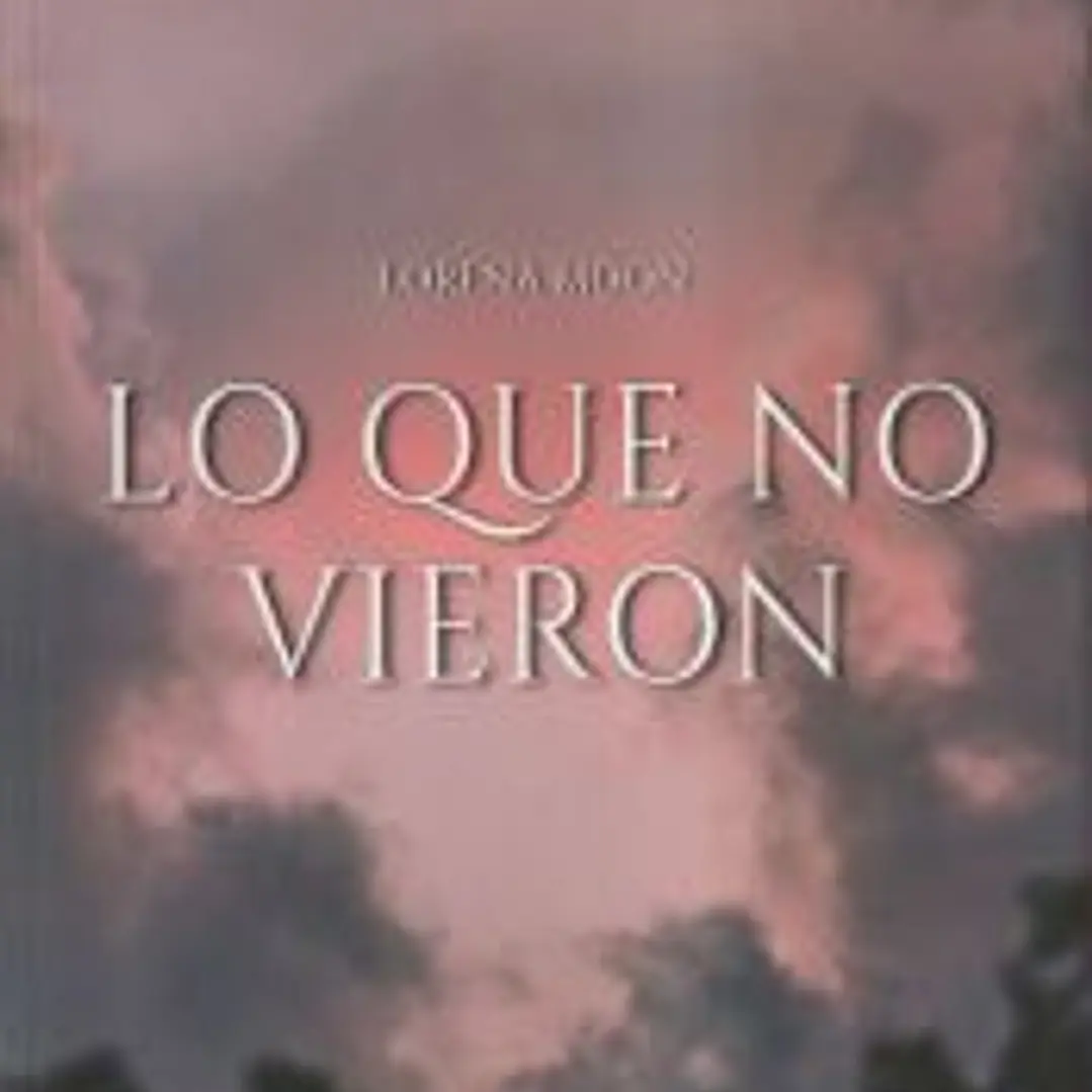 Lo que no vieron 1