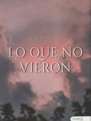 Lo que no vieron