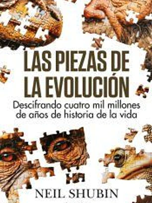 Las piezas de la evolución