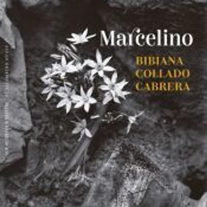 Marcelino 1