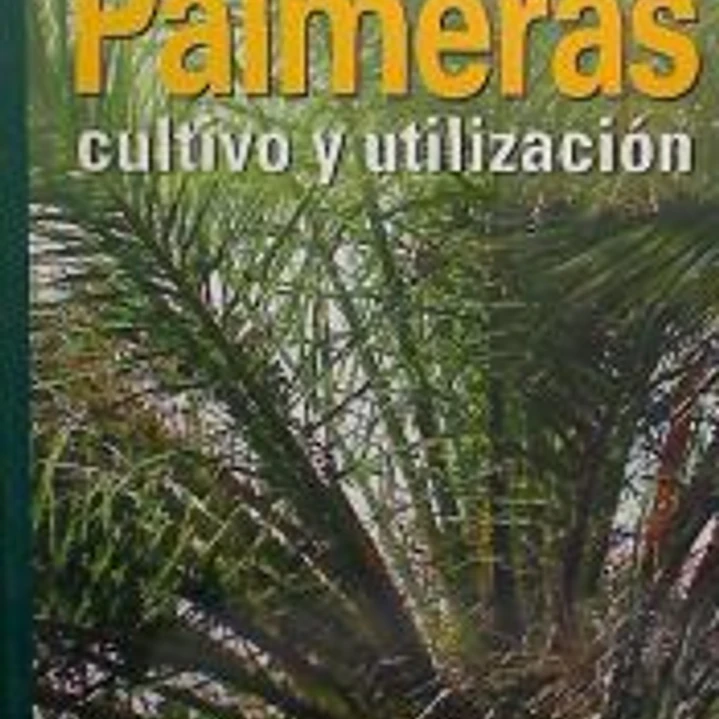 PALMERAS 1