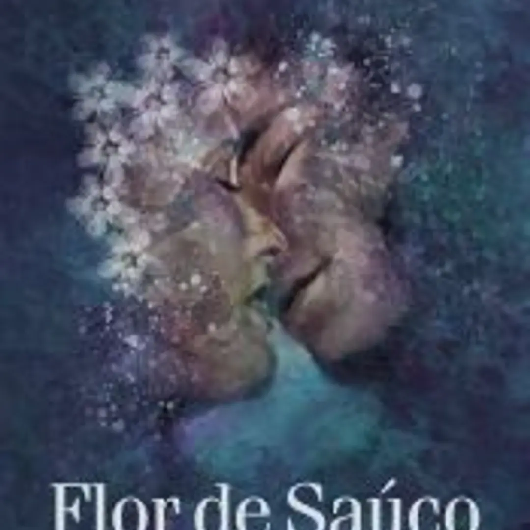Flor de saúco 1