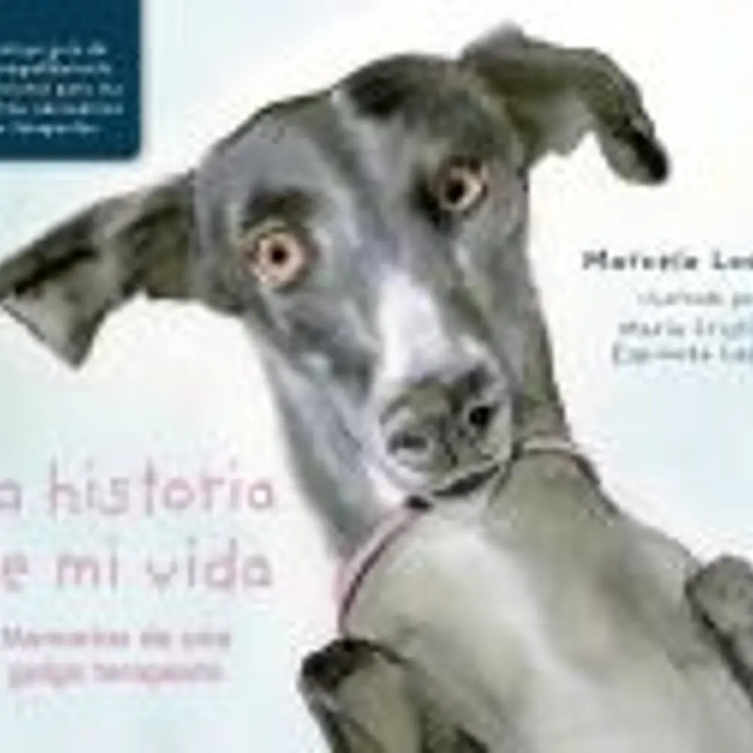 La historia de mi vida 1