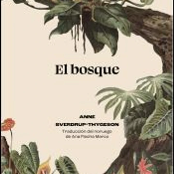 El bosque 1