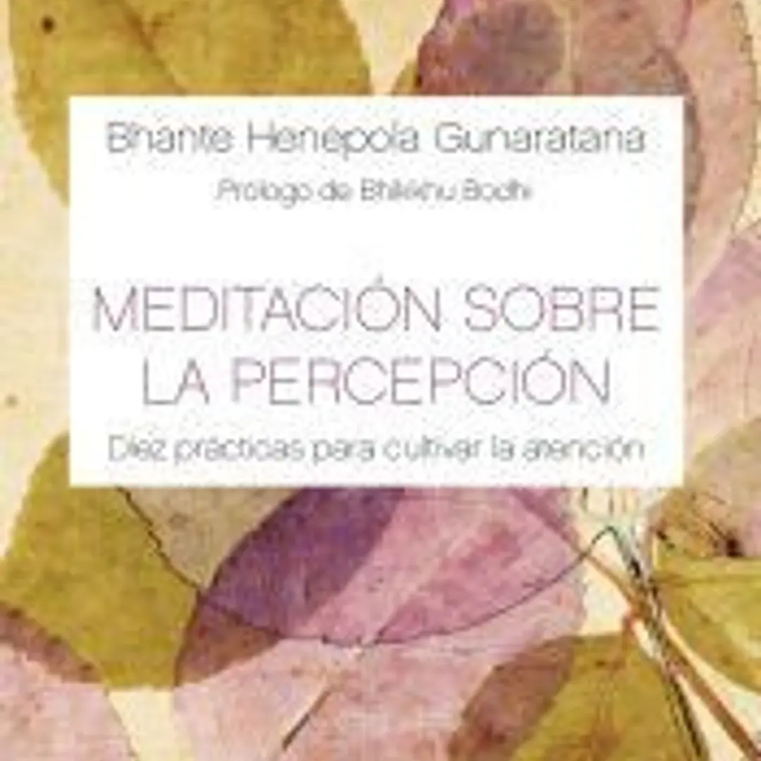 Meditación sobre la percepción 1