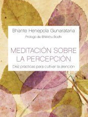 Meditación sobre la percepción