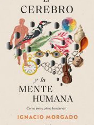 El cerebro y la mente humana