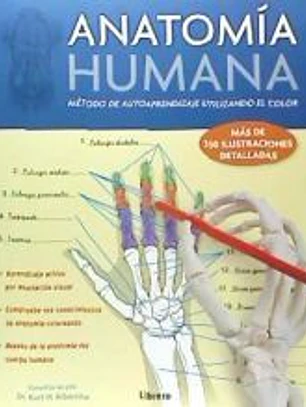 Anatomía humana