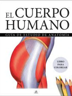 El Cuerpo Humano: Guía de Estudio de Anatomía