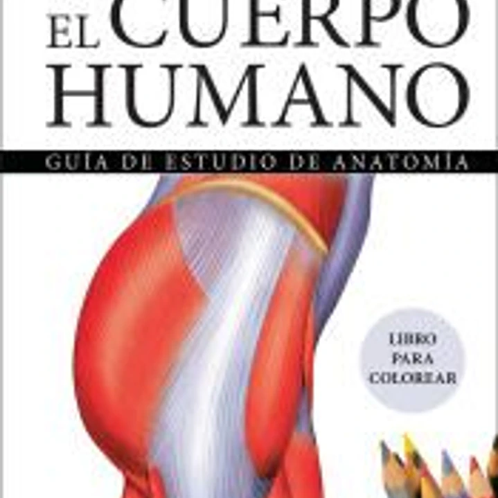 El Cuerpo Humano: Guía de Estudio de Anatomía 1