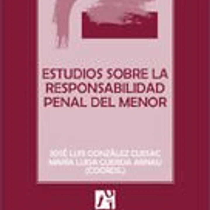 Estudios sobre la responsabilidad penal del menor 1