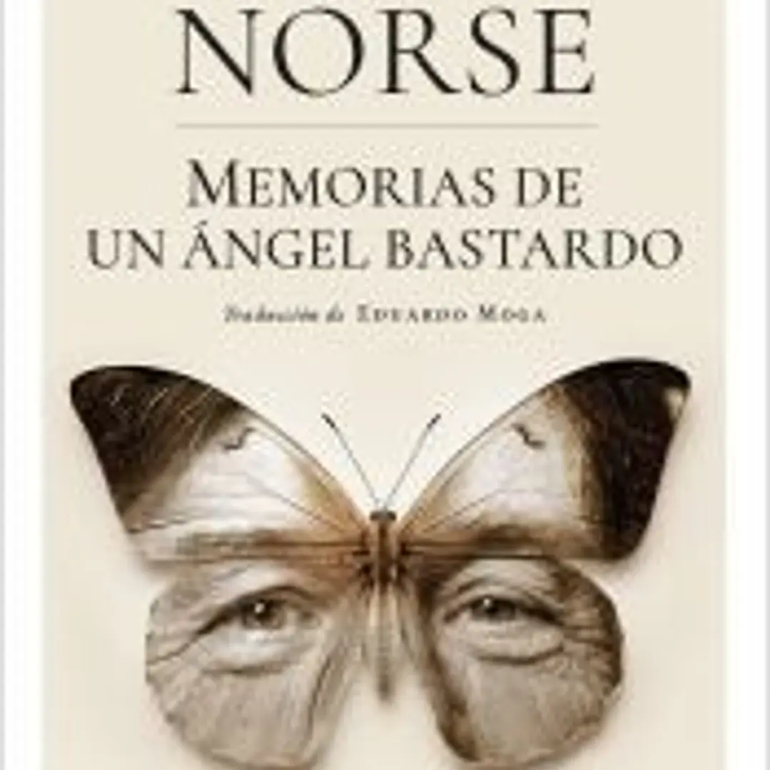 Memorias de un ángel bastardo 1