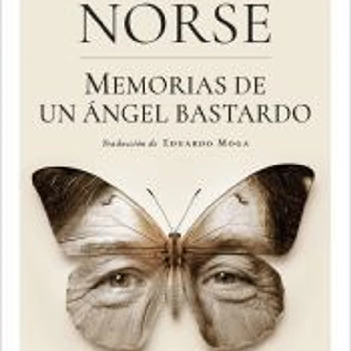 Memorias de un ángel bastardo 1