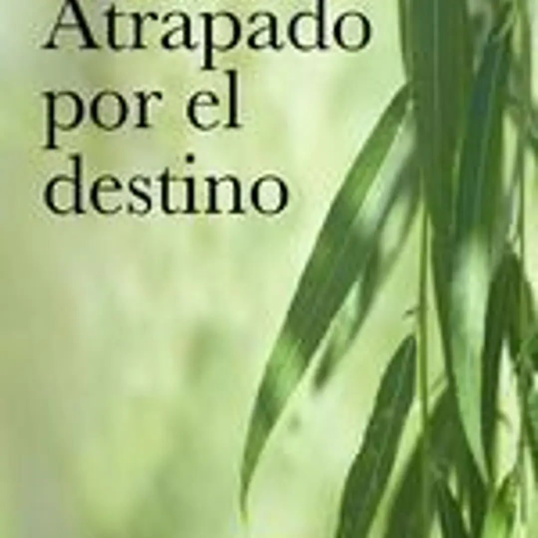 Atrapado por el destino 1