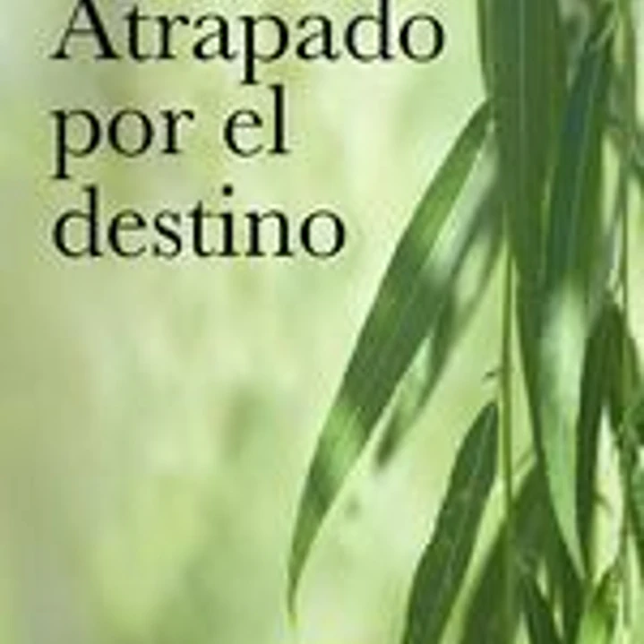 Atrapado por el destino 1