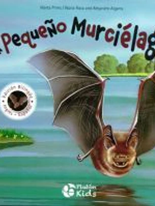 UN PEQUEÑO MURCIÉLAGO