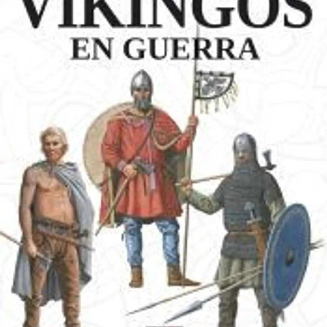 Vikingos en guerra 1