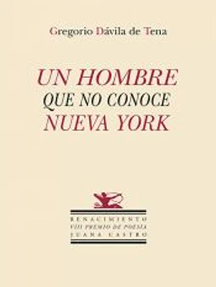 Un hombre que no conoce Nueva York