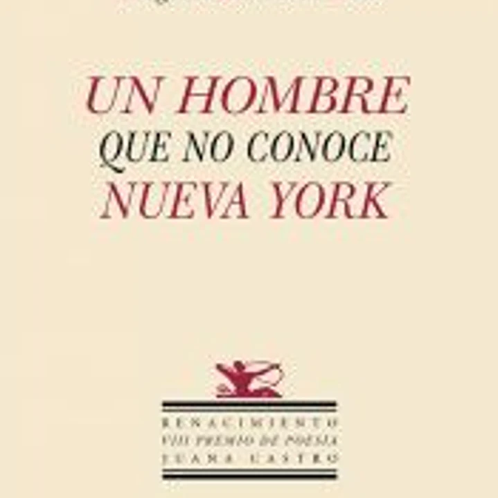 Un hombre que no conoce Nueva York 1