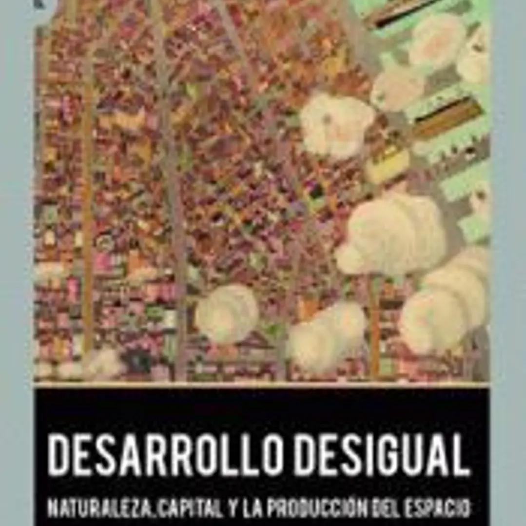 DESARROLLO DESIGUAL 1