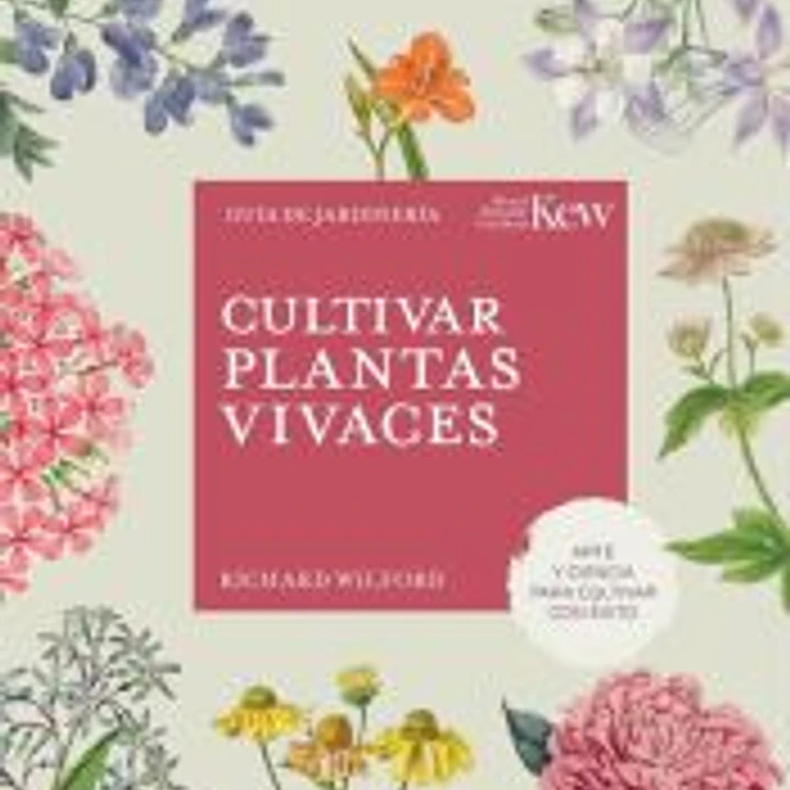 Cultivar plantas vivaces 1