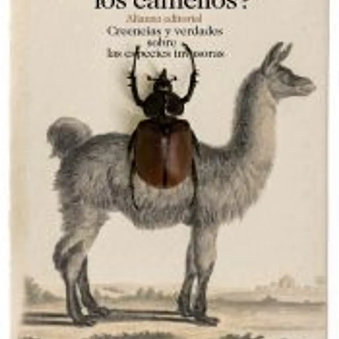 ¿De dónde son los camellos? 1