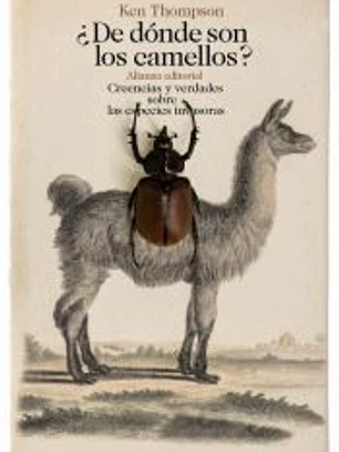 ¿De dónde son los camellos?