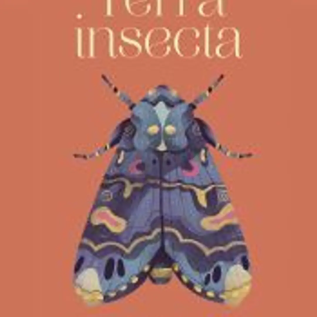 Terra insecta 1