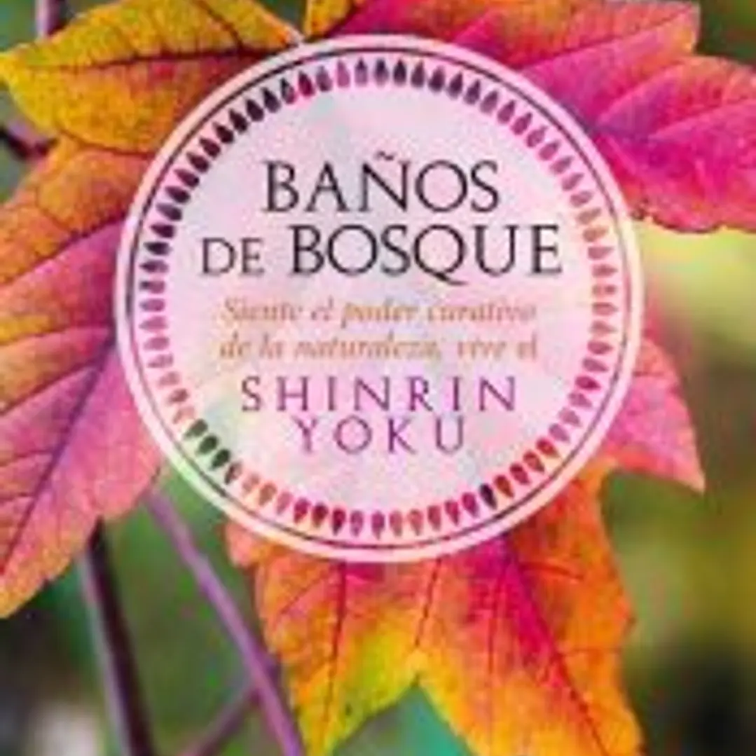 Baños de bosque 1