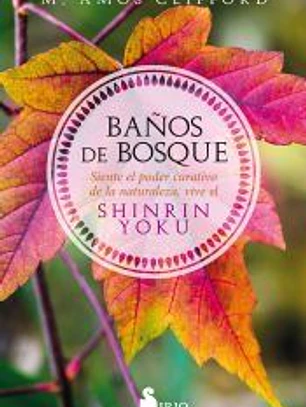 Baños de bosque