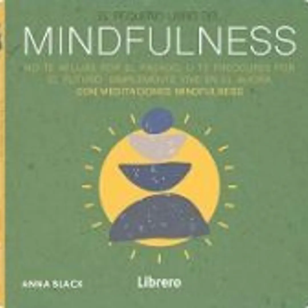 El pequeño libro del mindfulness 1