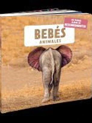 Bebés animales