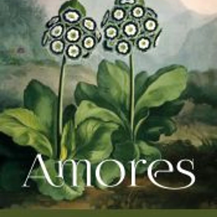 Amores 1
