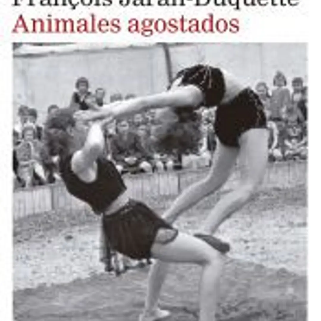 Animales agostados 1