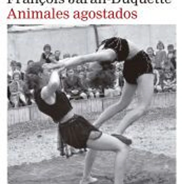 Animales agostados 1
