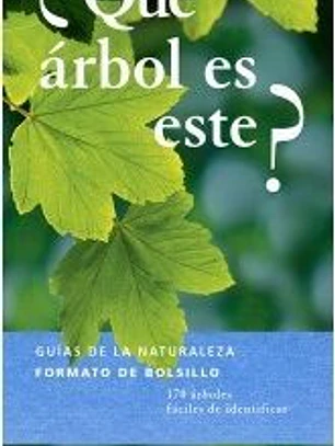 ¿QUÉ ÁRBOL ES ESTE?
