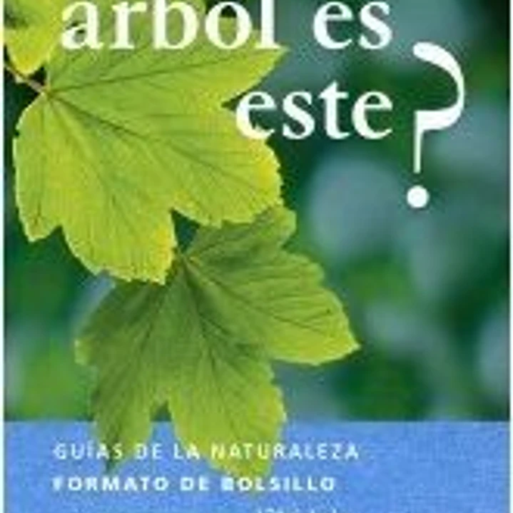 ¿QUÉ ÁRBOL ES ESTE? 1
