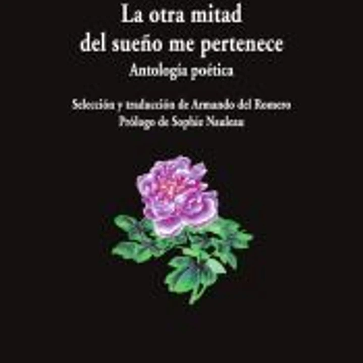 La otra mitad del sueño me pertenece 1