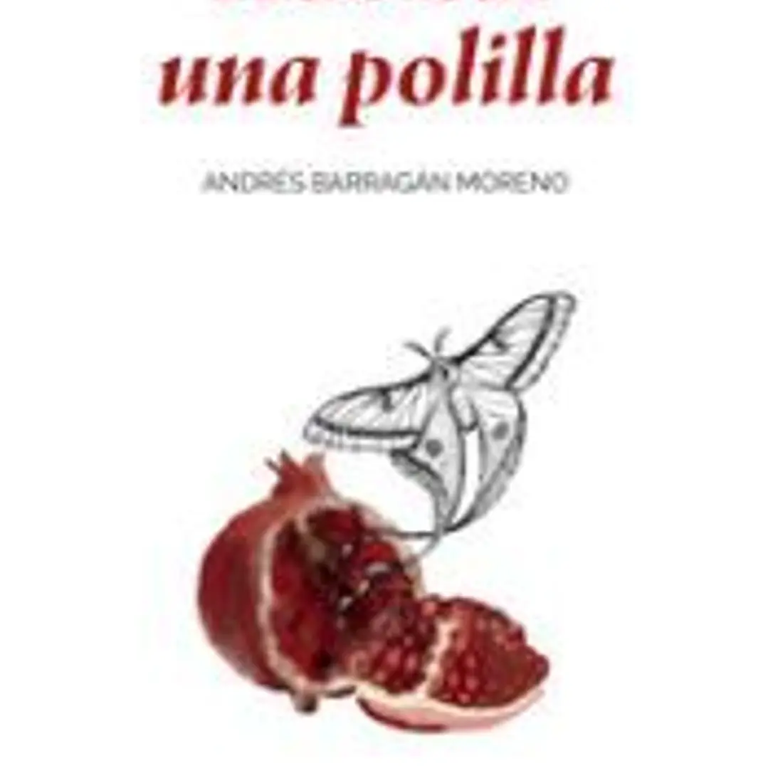 Habitar una polilla 1